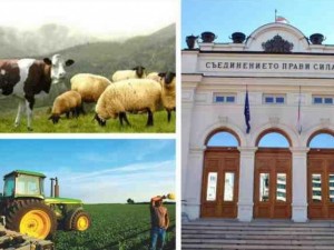 Учредяват първата Селска партия у нас
 