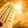 Живакът удря 34 градуса в средата на май
&nbsp;