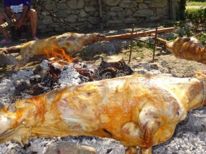 Как да олюдим георгьовския курбан
 