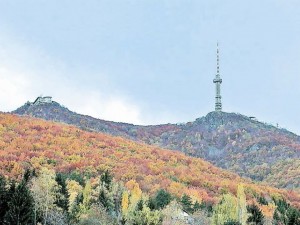 Спящ вулкан мори лястовиците на Витоша
 