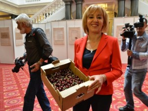 Омбудсманката зарзаватчийка ли е?
 
