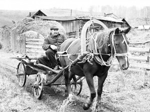 Носихме сено за конете на братушките през 1944 г.