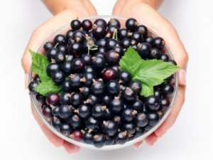 Касисът – хапче за високо кръвно
