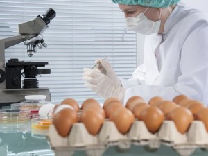 Отровни яйца плъзнаха по магазините