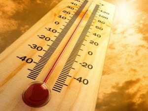 Живакът скача до 42° през август
 