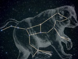 Ето кое животно ви закриля според зодията