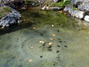 Лековита вода в родопско село дава втори живот