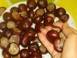 Кестените пазят от лоша енергия
