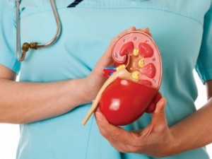 Бъбреците ни отказват заради мръсния въздух
