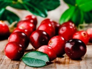 Червените боровинки топят тумори в червата