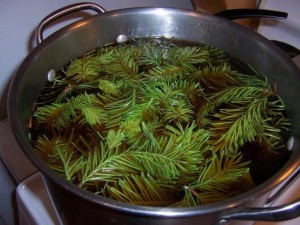Борови иглички и шипки свалят високото кръвно