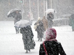 Бум на студовите алергии у нас