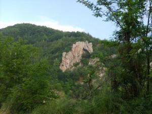Съкровище в Смолянско парализира иманяри