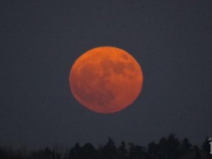 Явление! Синя и кървава луна ще се съчетаят в края на януари