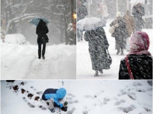 Зимата се завърна! Сняг вали в почти цялата страна, в понеделник ще натрупа много