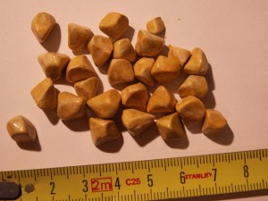 Великденският пост докарва камъни в жлъчката