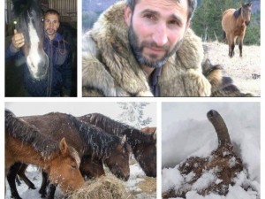 Извергът с умрелите коне крие ферма на ужасите
 