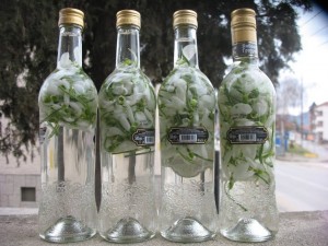 Ликьор от кокиче стопира диабета