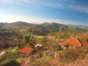Черна кал от село Кушла лекува счупено
 