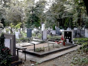 Клиничните пътеки водят право към гробищата