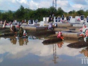Кой се гаври с покойниците 