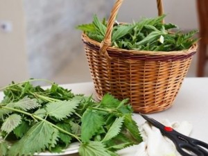Изгонете злото от дома с коприва
