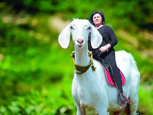 Кървав пленум „евтаназира“ Нинова
 