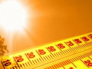 Жегата уби първи летовник в Поморие