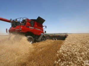 Най-слаба реколта от 40 г. насам