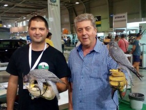 Първанов опитомява соколи
 