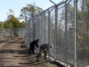 Търсят пазачи на границата