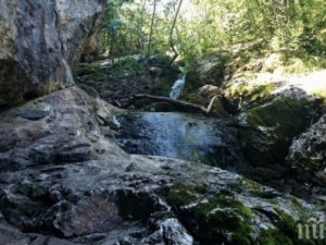 Ручей със сребърна вода цери софиянци