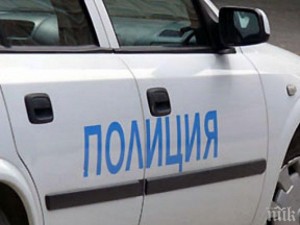 22-годишна задигна джибрите и прасетата на приятеля си