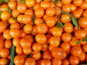 Продавачи мошеници тровят децата ни
