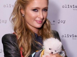 Парис Хилтън забременява от непознат