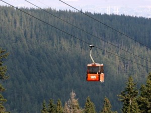 Алчни бизнесмени съсипаха красивата Витоша
