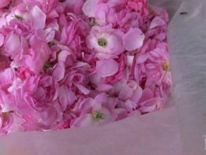 Отвара с рози връща зрението 