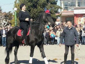 Състезание с един кон. И една ездачка