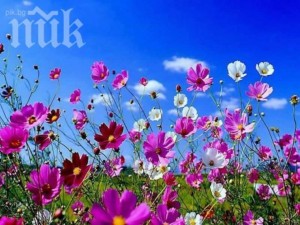 От минус 2 до 29° през април
 