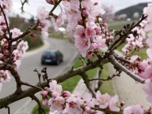 До 33 градуса през май