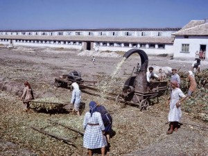 Измислиците за големите успехи при социализма