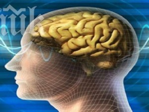 Интернет деформира мозъка