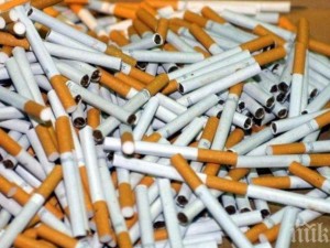 Цигарите убили 3300 нашенци за година