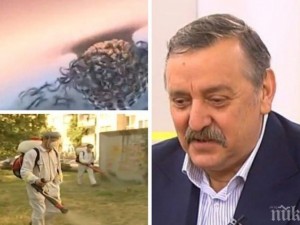 Проф. Тодор Кантарджиев разкри какви опасности ни дебнат през лятото и как да се предпазим от тях