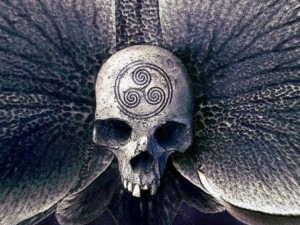 40 опасни секти зомбират деца
 
