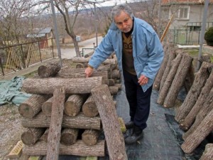 Нашенец от село Леденик отглежда цяр срещу рак