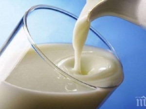 Подсолено мляко пази от топлинен удар