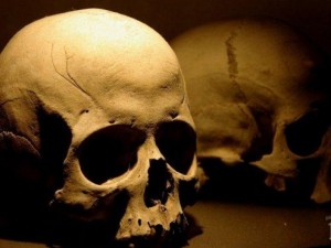 Майстори откриха зазидани черепи в столичен апартамент
