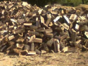 Цената на дървата скача заради свинската чума
 