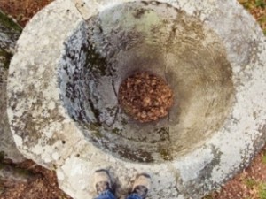 Каменна чаша на великан стряска в Пловдивско
 